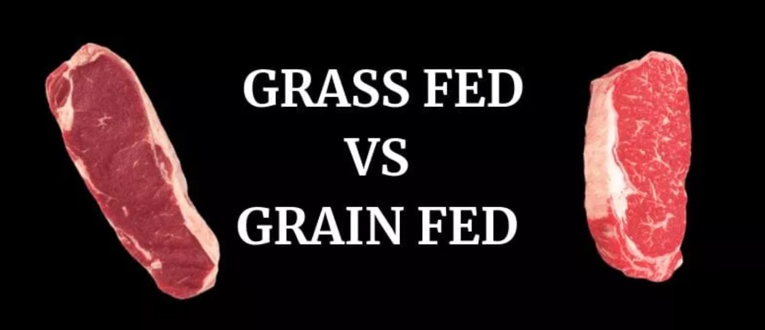 Is Grass-fed Beef better for you?